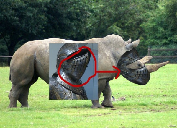 Creation of RhinoForce: Step 2
